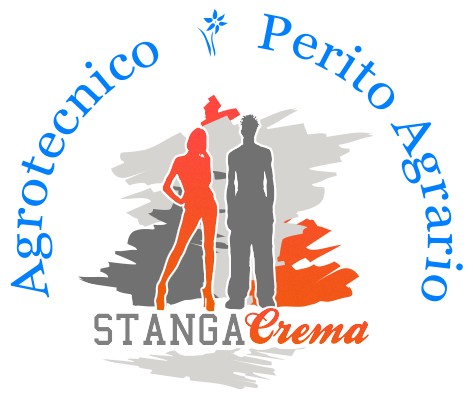 Stanga3